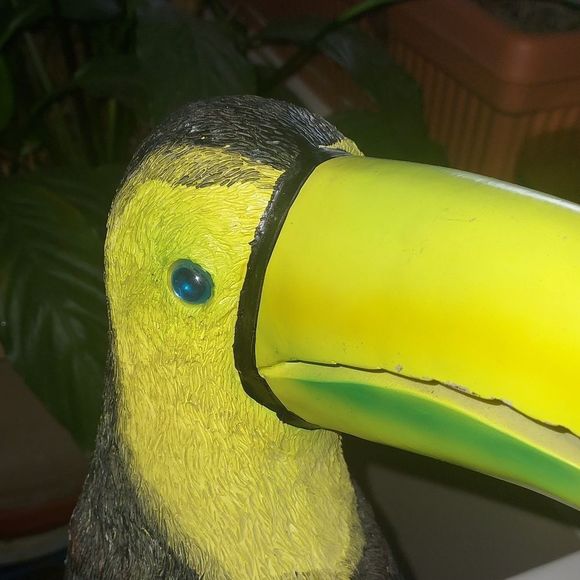 Resin textured Toco Toucan Figurine - Picture 6 of 9